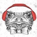 Hipster animal frog. Hand drawing Muzzle of frog Royalty Free Stock Photo