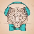 Hipster animal guepard. Hand drawing Muzzle of guepard Royalty Free Stock Photo