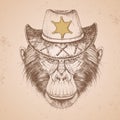 Retro Hipster animal monkey with sheriff`s hat. Hand drawing Muzzle of animal chimpanzee