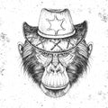 Retro Hipster animal monkey with sheriff`s hat. Hand drawing Muzzle of animal chimpanzee