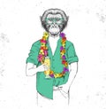 Retro Hipster animal monkey with tropic cocktail