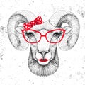 Retro Hipster animal ram or mouflon. Hand drawing Muzzle of animal ram. Girl of 60s Royalty Free Stock Photo