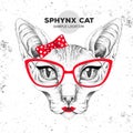 Retro Hipster animal sphynx cat. Hand drawing Muzzle of animal cat. Girl of 60s Royalty Free Stock Photo