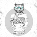 Retro Hipster fashion animal bear dressed up in pullover.