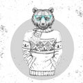 Retro Hipster fashion animal bear dressed up in pullover. Royalty Free Stock Photo