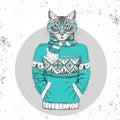 Retro Hipster fashion animal cat dressed up in pullover.