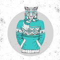 Retro Hipster fashion animal cheetah dressed up in pullover.