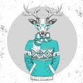 Retro Hipster fashion animal deer dressed up in pullover
