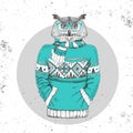 Retro Hipster fashion animal owl dressed up in pullover.