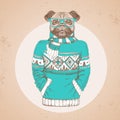 Retro Hipster fashion animal pug-dog dressed up in pullover.