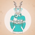 Retro Hipster fashion animal rabbit dressed up in pullover