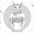 Retro Hipster fashion animal sphynx cat dressed up in pullover