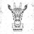 Retro Hipster animal giraffe. Hand drawing Muzzle of giraffe