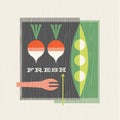 Retro illustration of healthy vegetables includes peas and radishes