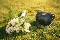 Retro instant camera and wedding bouquet on green grass. Royalty Free Stock Photo