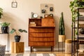 Retro interior design of living room with wooden vintage bureau, shelf, gold pouf, cube, plants, cacti, books and decoration.