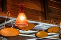 Retro lamp light decorative hanging on wooden roof
