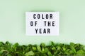 Retro lightbox with Color of the year wording on the trendy solid green backdrop with fresh mint leaves border at the