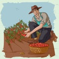 Retro man plucking tomato from farm