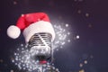 Retro microphone with Santa hat on dark background, space for text. Christmas music Royalty Free Stock Photo