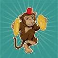 Retro monkey with cymbals Royalty Free Stock Photo