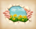 Retro nature background with grass and flowers