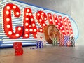 Retro neon sign next to the casino chips, cards, dice, and roulette