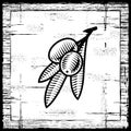 Retro olive branch black and white Royalty Free Stock Photo