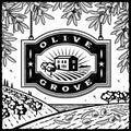 Retro Olive Grove black and white Royalty Free Stock Photo