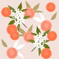 Retro oranges pattern. Orange fruits. Fresh tropical pattern