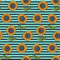 Retro pattern with sunflower on striped background Royalty Free Stock Photo
