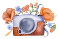 Retro photo camera with poppy flowers Royalty Free Stock Photo