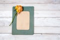 Photo frame with dry rose Royalty Free Stock Photo