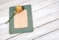 Photo frame with dry rose Royalty Free Stock Photo