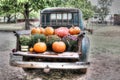 Retro pick-up truck with mums and pumpkins on display in bed of truck