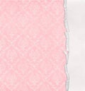 Retro pink damask design with torn edge