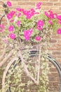Retro pink woman bicycle with blooming flowers and basket