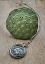 A retro pocket watch and Fresh green lotus seed pods on old wooden board background Royalty Free Stock Photo