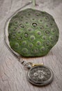 A retro pocket watch and Fresh green lotus seed pods on old wooden board background Royalty Free Stock Photo