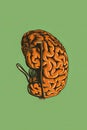 Retro pop art orange engraving human brain with 3D glasses illustration in side view isolated on green background