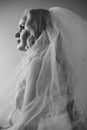 Retro portrait of beautiful blonde bride posing