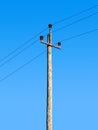 Retro power transmission pole