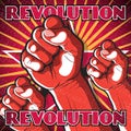 Retro Punching Fist Revolution Sign.