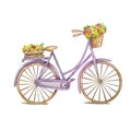 Retro purple bicycle, wooden box with flowers Royalty Free Stock Photo