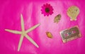 Retro Purple Wallpaper Art Style Background Starfish and plastic