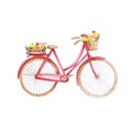 Retro red bicycle, wooden box with flowers Royalty Free Stock Photo