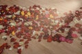 retro red rose petals and copyspace on wooden floor for valentin Royalty Free Stock Photo