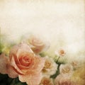 Retro rose background