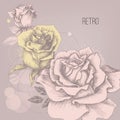 Retro roses Royalty Free Stock Photo