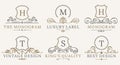 Retro Royal Vintage Shields Logotype set. Vector calligraphyc Luxury logo design elements. Business signs, logos